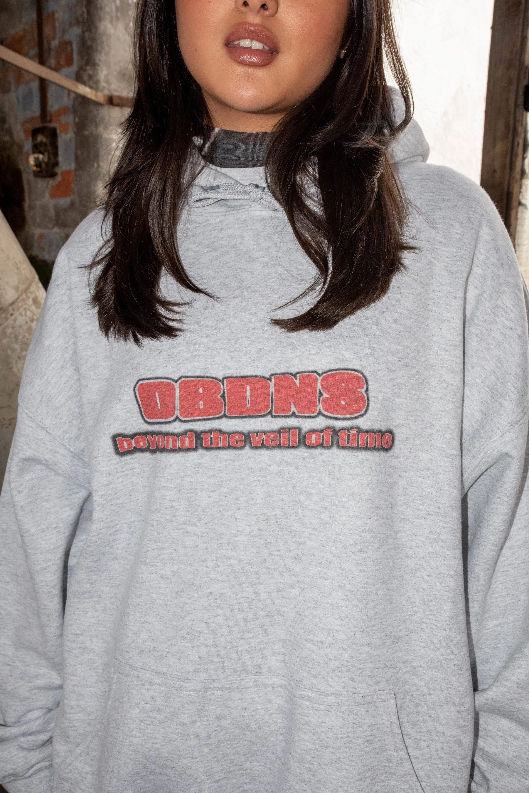 Hoodie in Ash Grey With DBNDNS Logo Print sold by Dream But Do Not Sleep product image thumbnail 4
