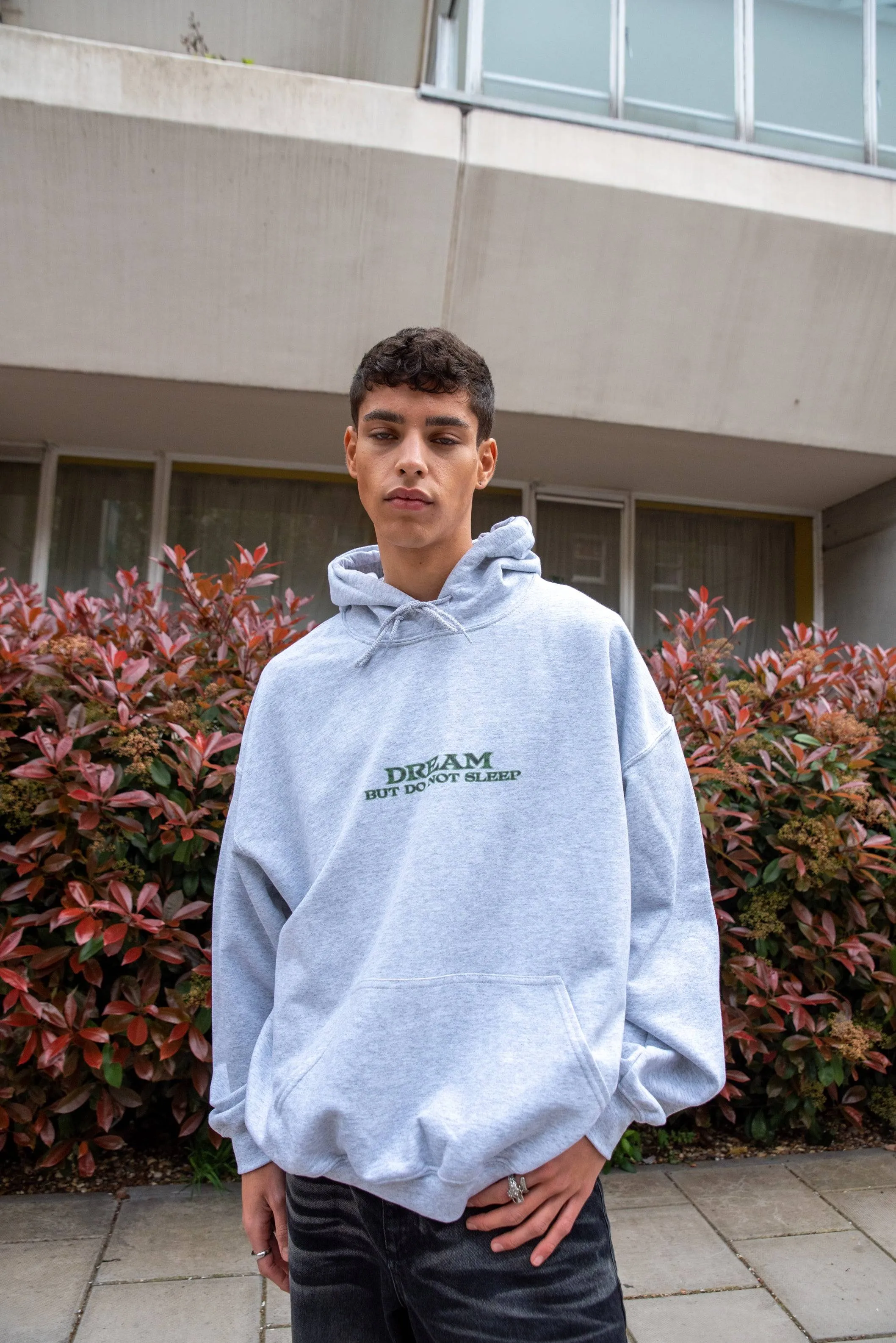 Hoodie in Ash Grey With DBDNS Futuristic Logo Print sold by Dream But Do Not Sleep product image thumbnail 2