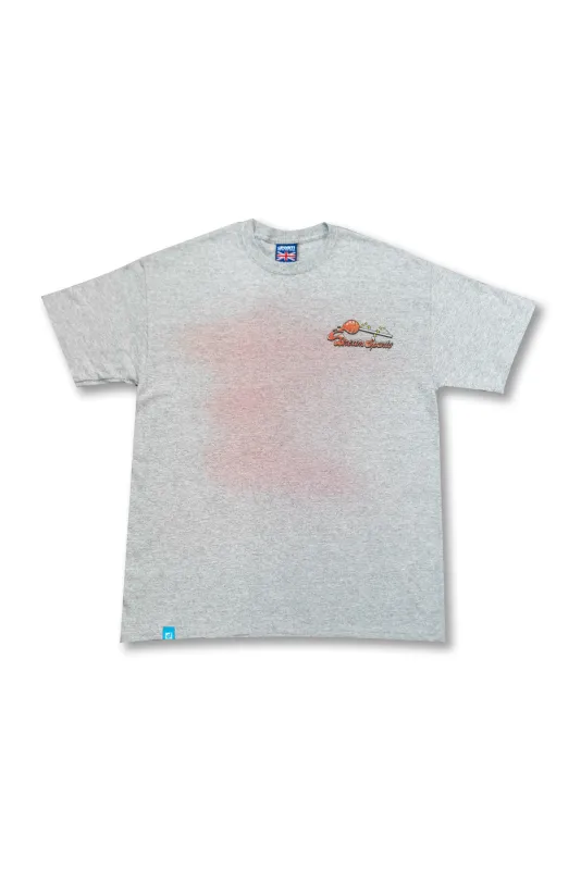 Short Sleeved T-Shirt in Heather Grey with Lollipop Print made by Dream But Do Not Sleep