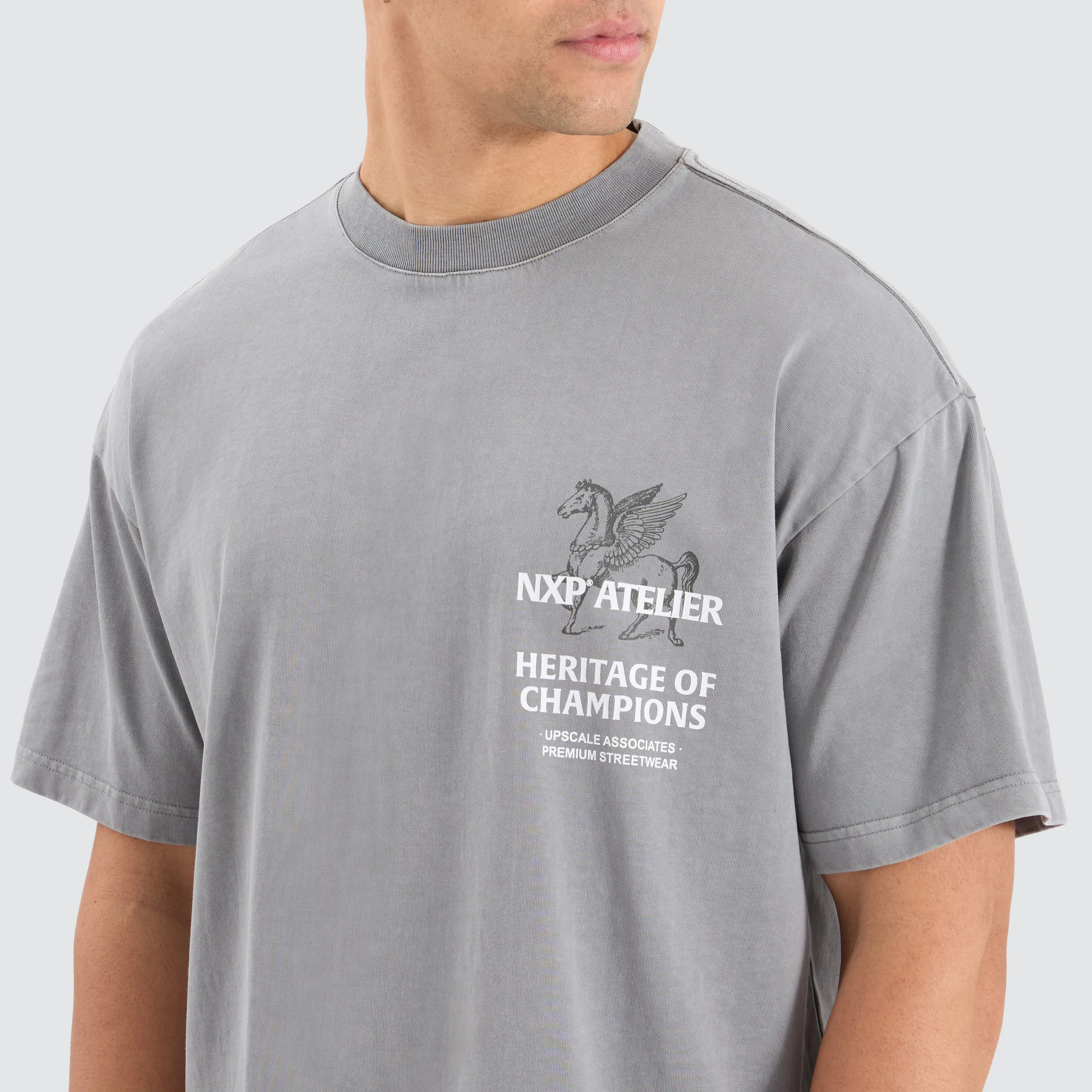 Heritage Raptor Tee Pigment Neutral Grey sold by Nena and Pasadena product image thumbnail 4