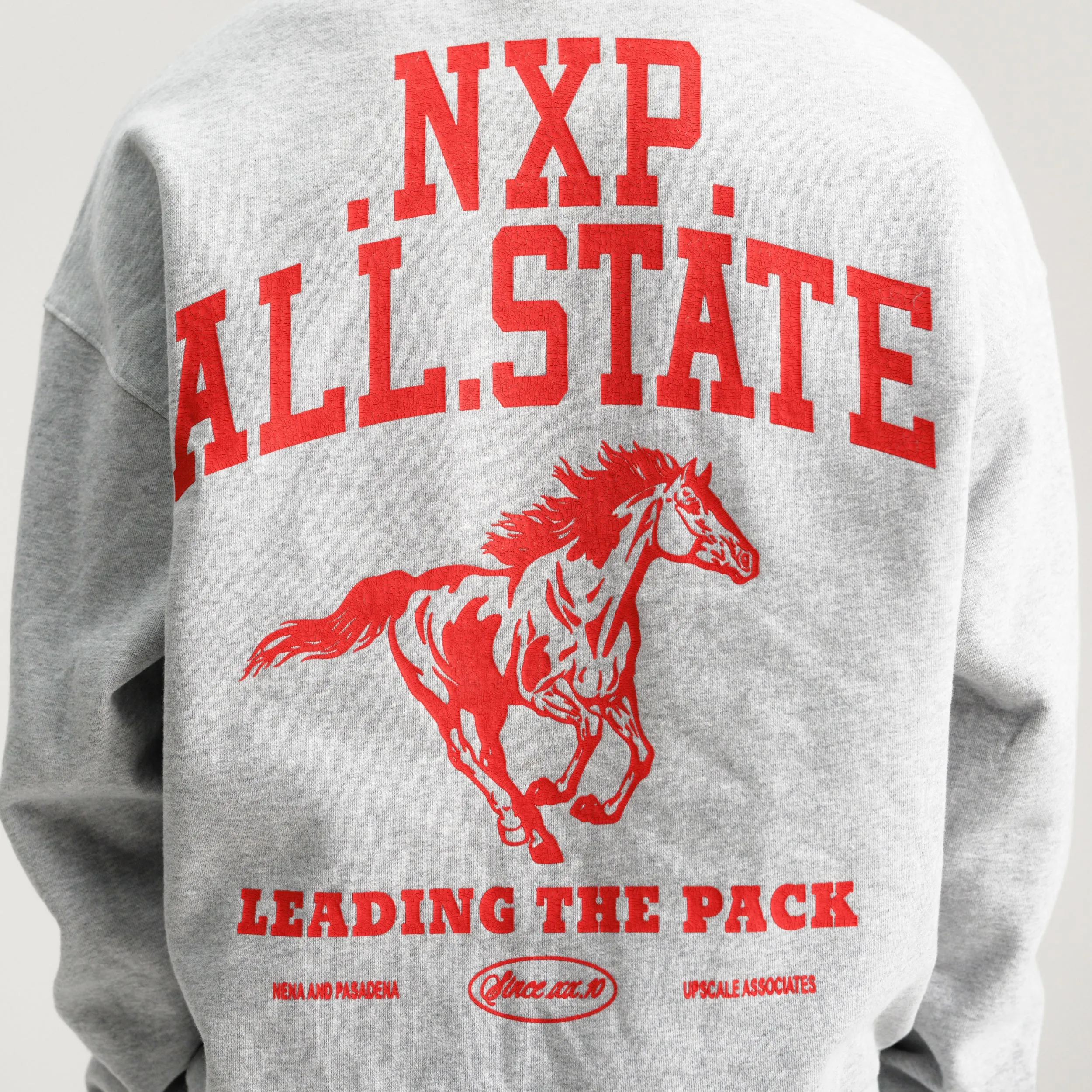 Pack Box Fit Hoodie Grey Marle sold by Nena and Pasadena product image thumbnail 3