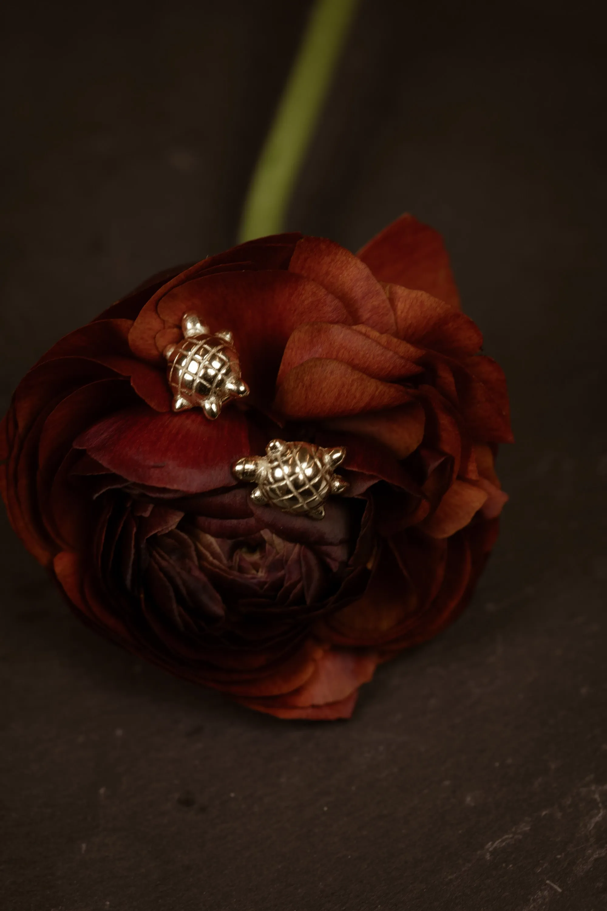 Tiny Turtle Earrings sold by YSSO product image thumbnail 3