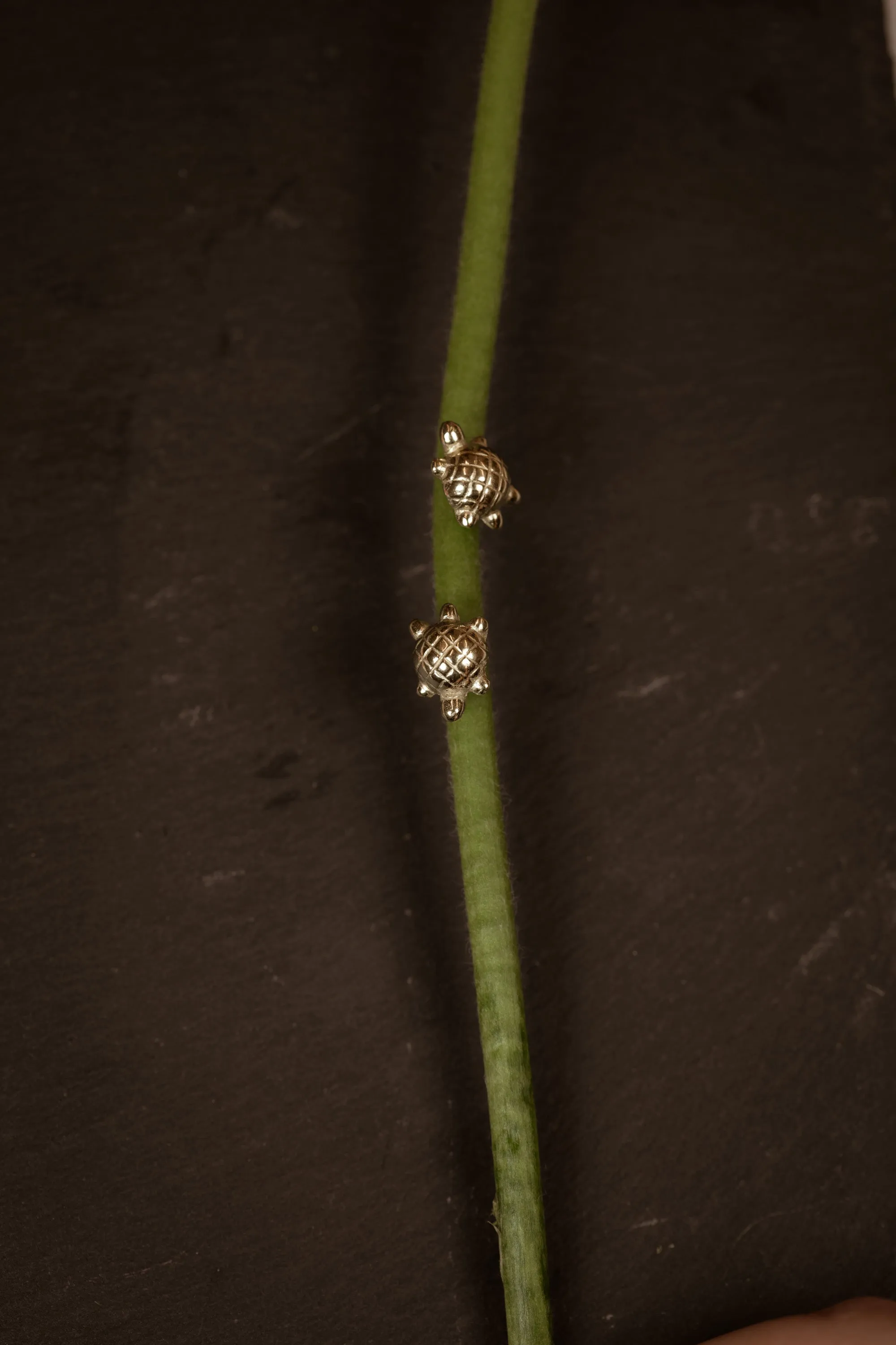 Tiny Turtle Earrings sold by YSSO product image thumbnail 2