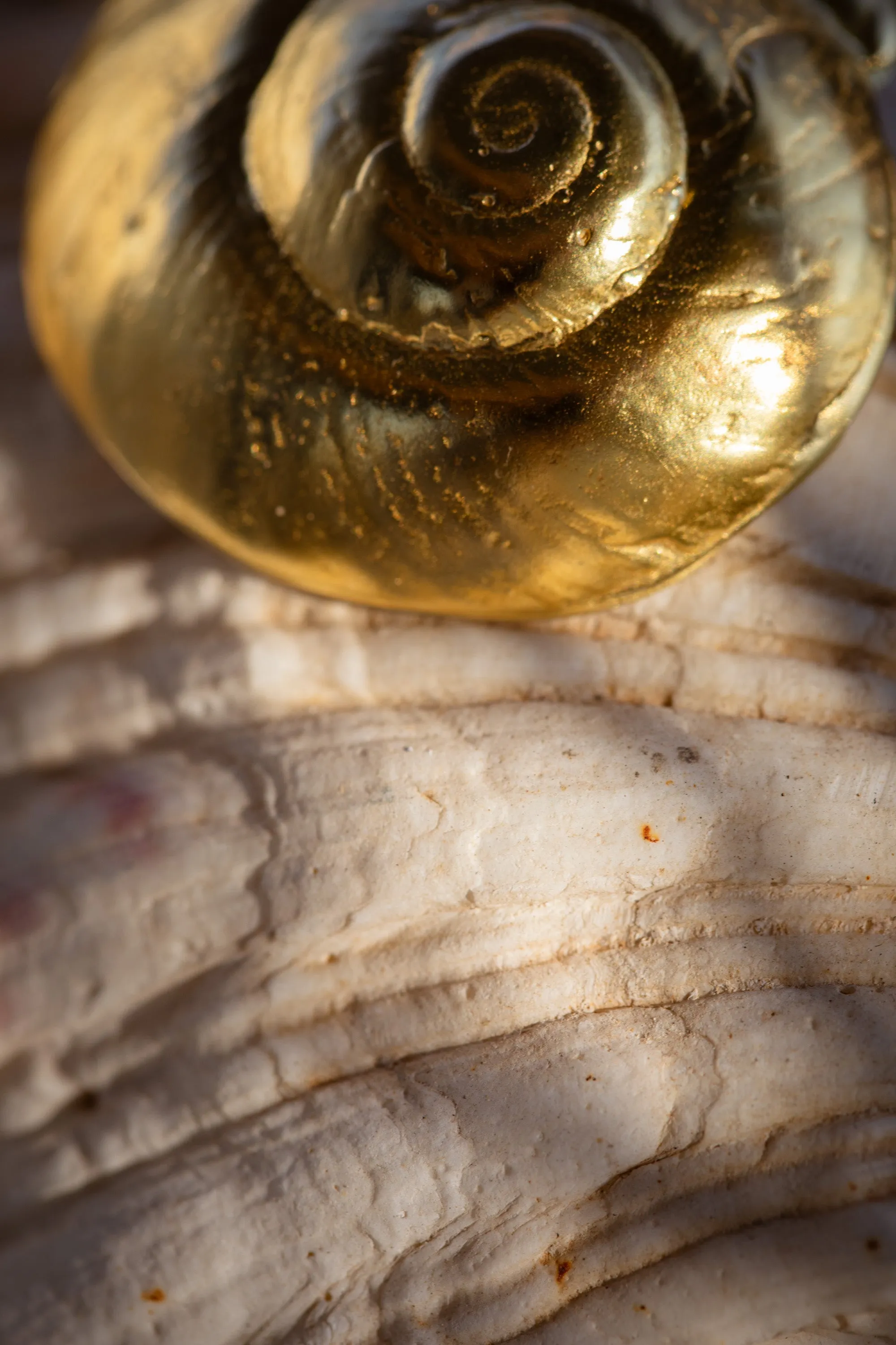 The Pearl Earrings sold by YSSO product image thumbnail 4