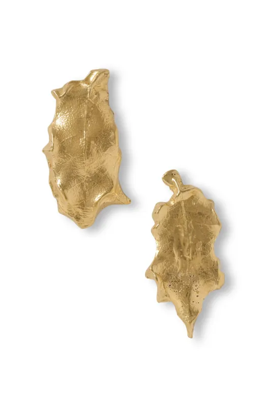 Oak Earrings sold by YSSO