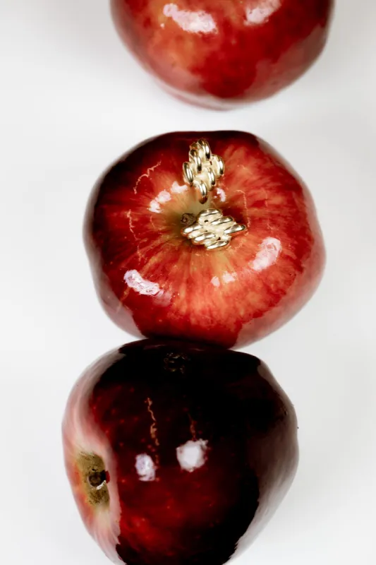 Mini Chain Link Earrings sold by YSSO