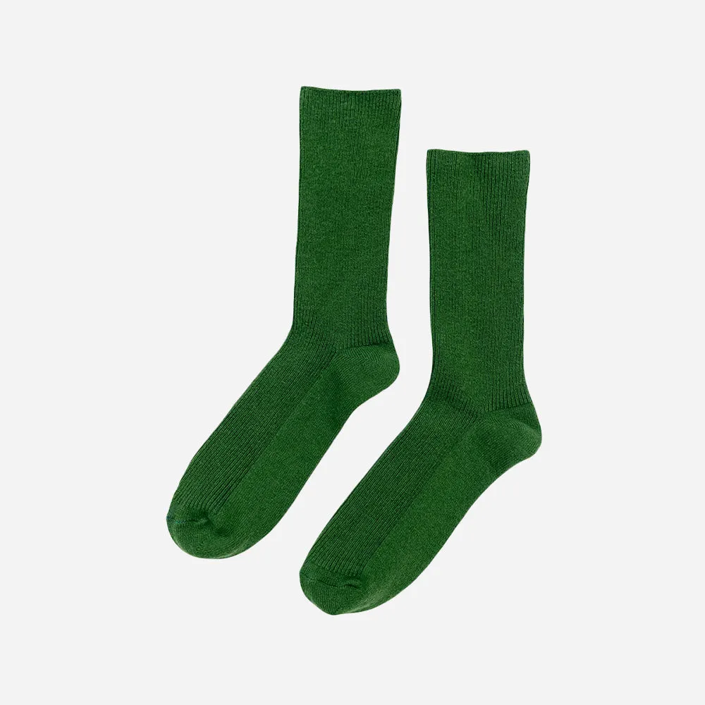 Le Bon Shoppe Grandpa Socks Avocado sold by Poppy Barley product image thumbnail 3