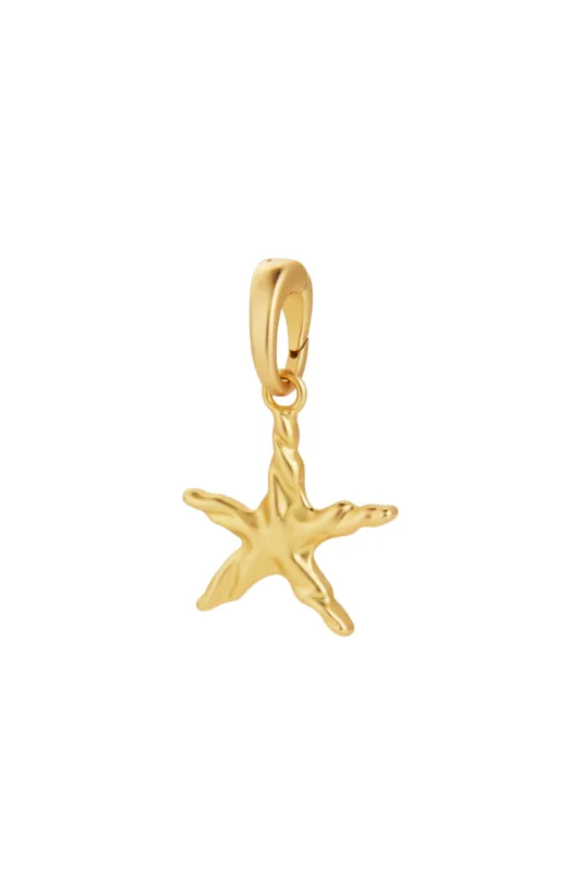Oceana Star Charms - 4 Pack sold by Bydee