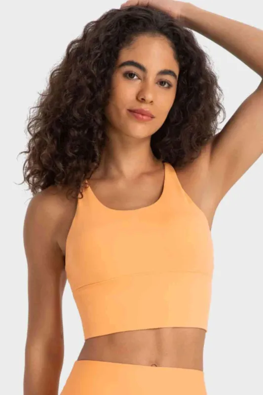 Millennia Crisscross Back Ladder Detail Sports Bra sold by The Barefoot Brunette Boutique
