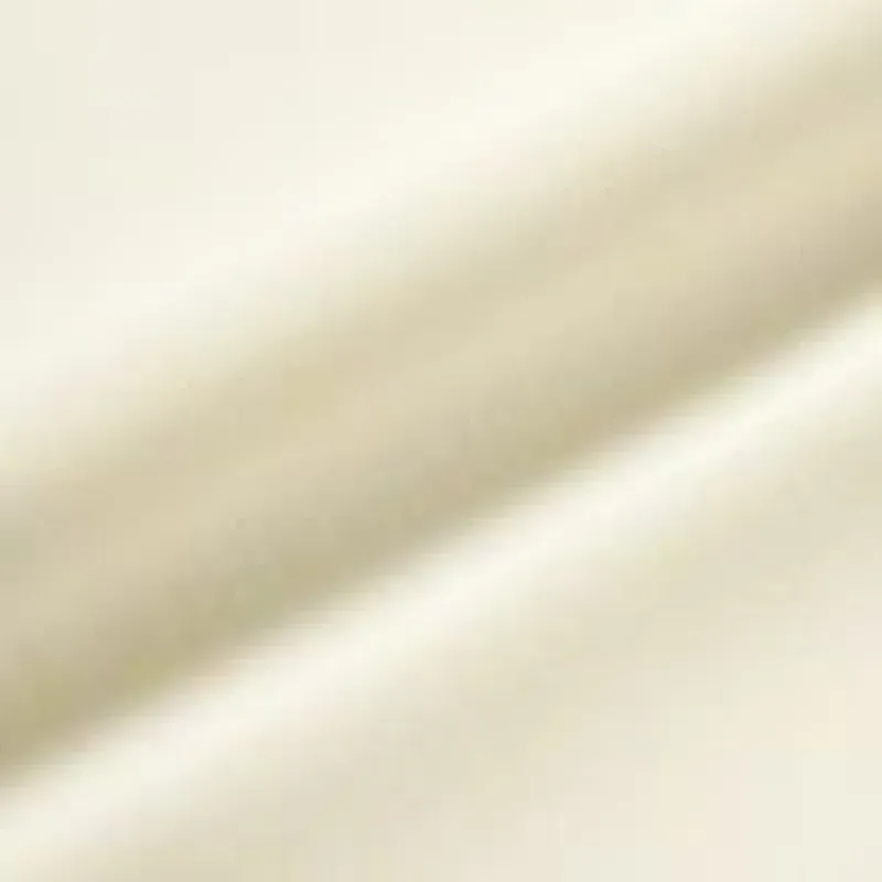 M511S2458SFS Cotton Linen Plain weave sold by Kamakura