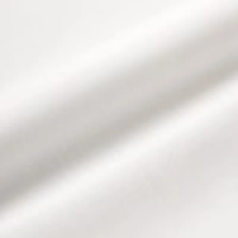 M101S2453SFS Cotton Linen Plain weave sold by Kamakura