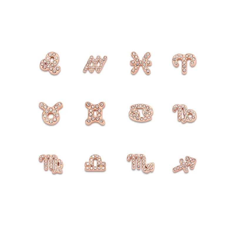 Made Mine Charms - Pavé Zodiac Charms (Rose Gold) sold by Abbott Lyon