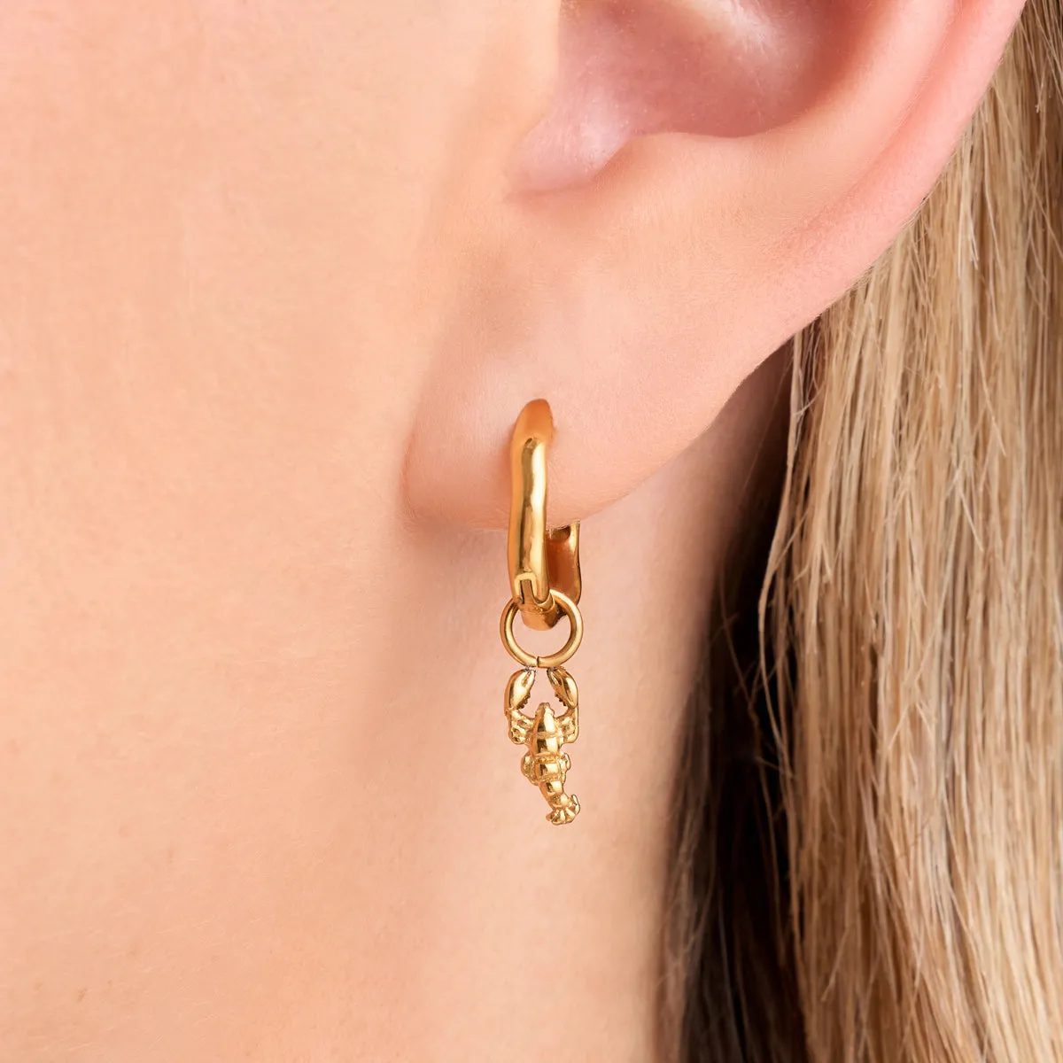 Ocean Charms Lobster Huggie Earrings (Gold) sold by Abbott Lyon product image thumbnail 2