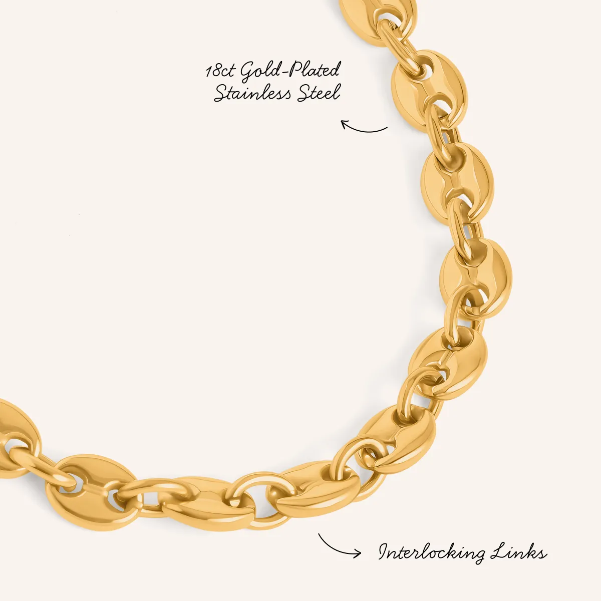 Mariner Chain Bracelet (Gold) sold by Abbott Lyon product image thumbnail 3