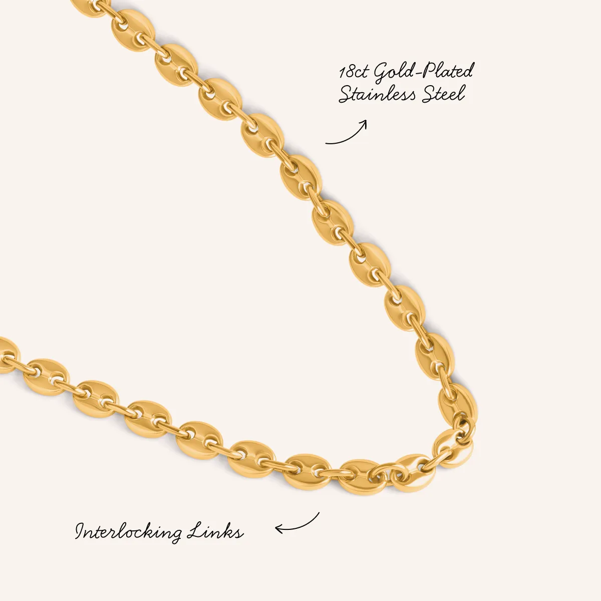 Mariner Chain Necklace (Gold) sold by Abbott Lyon product image thumbnail 3