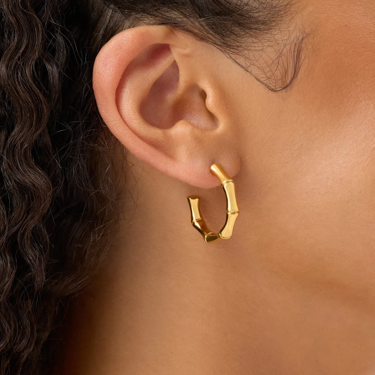 Bamboo Hoop Earrings (Gold) sold by Abbott Lyon product image thumbnail 2