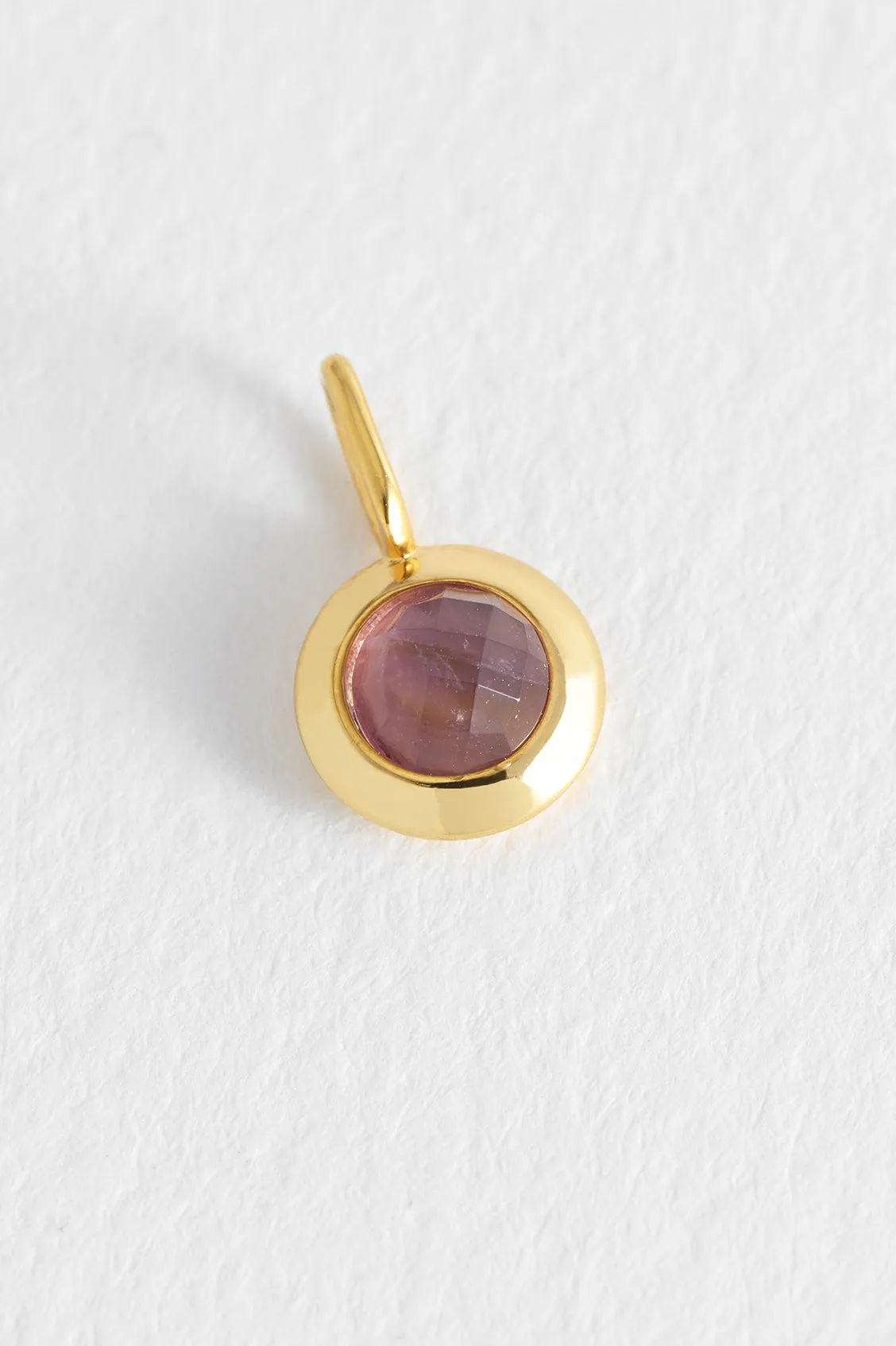 February Birthstone Charm sold by Estella Bartlett