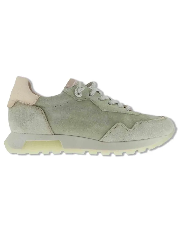 Sneakers in camoscio salvia Donna HV264847 ALGA made by Spatarella