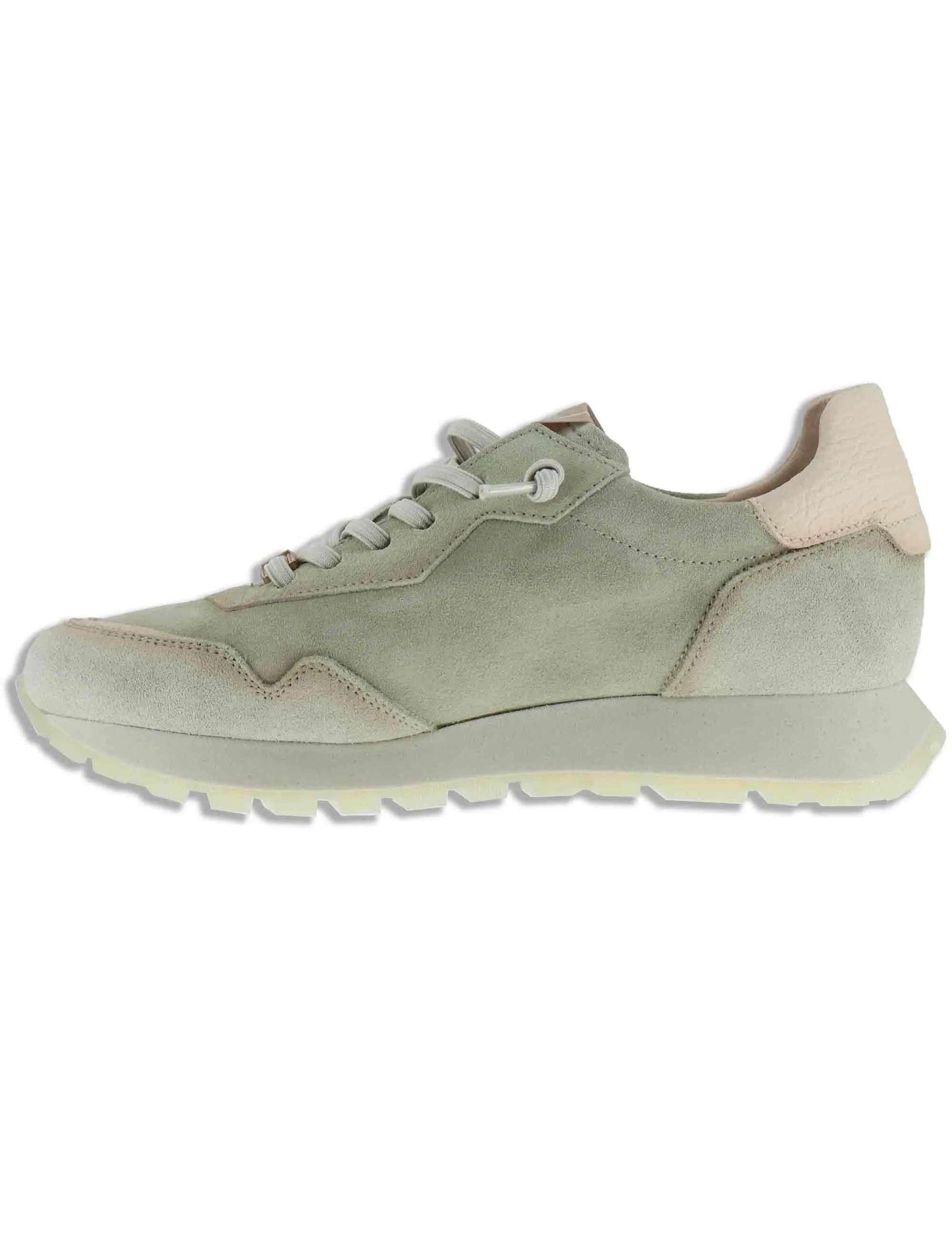 Sneakers in camoscio salvia Donna HV264847 ALGA sold by Spatarella product image thumbnail 2