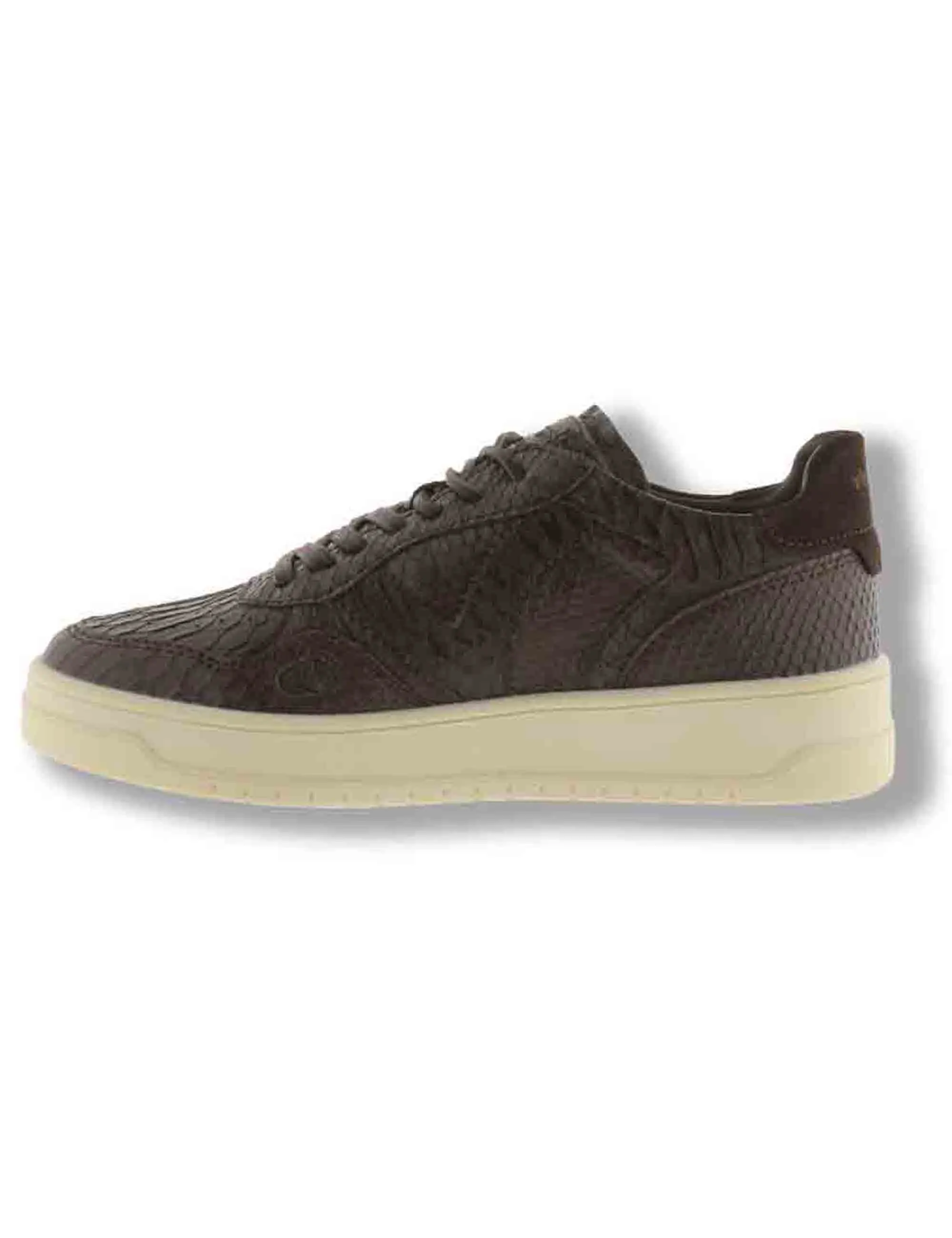 Sneakers Seul marrone effetto serpente Donna 1257150 70 Marron sold by Spatarella product image thumbnail 3