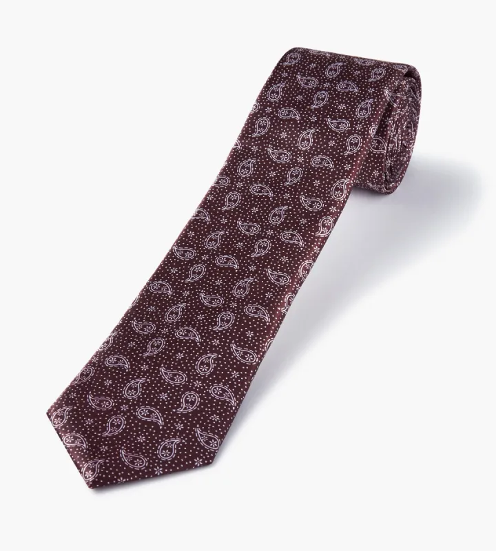 Small Paisley Tie sold by Tip Top