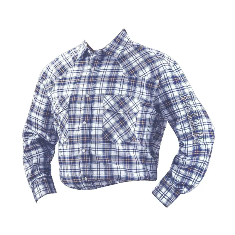 Bullhide Blue Plaid - Mens Western Shirt made by Hat Country