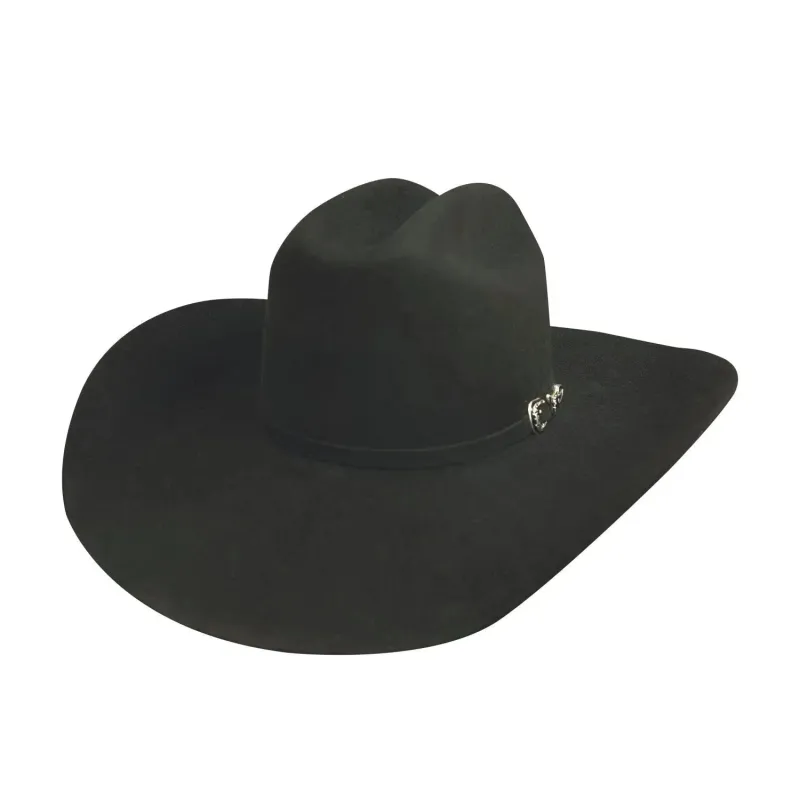 Bullhide PBR Outlaw - (8X) Fur Felt Cowboy Hat (Closeout) made by Hat Country