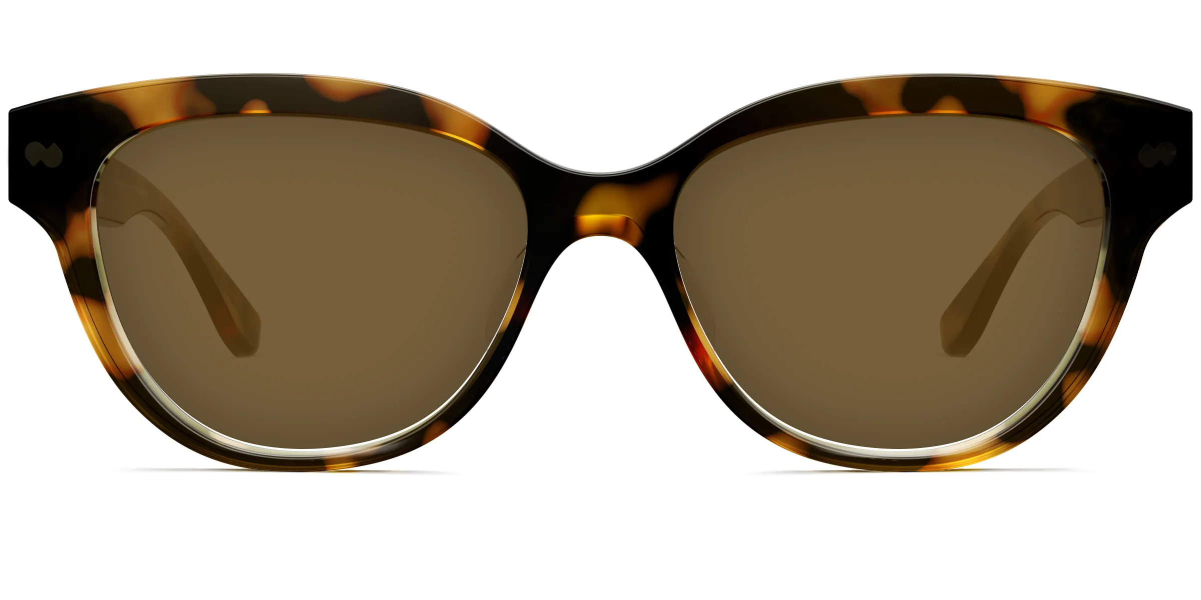The Quinn - Tortoise Sun sold by Pair Eyewear product image thumbnail 2