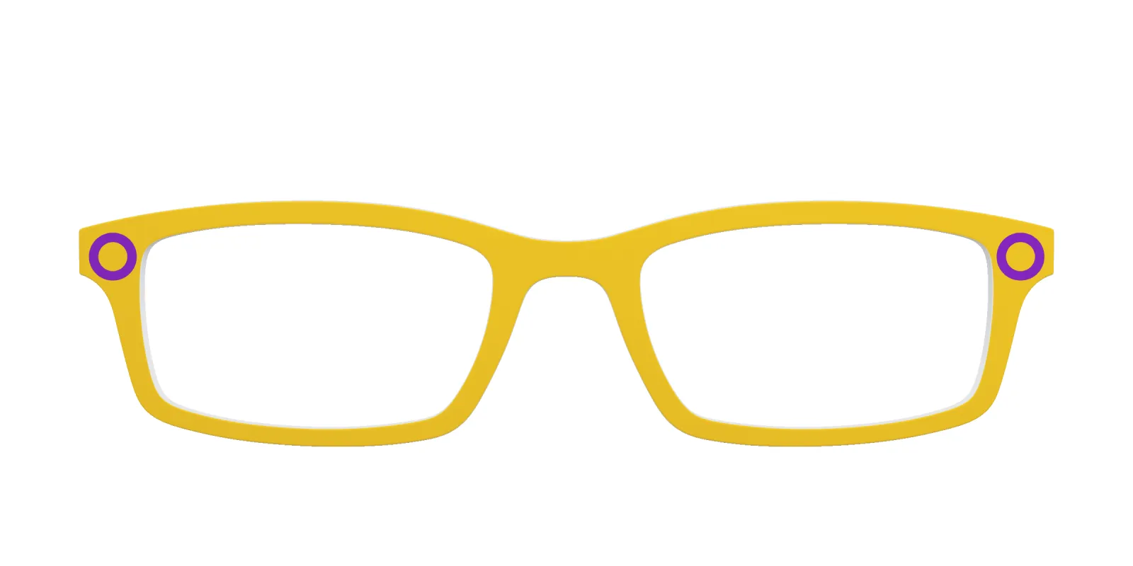 The Intersex Flag made by Pair Eyewear