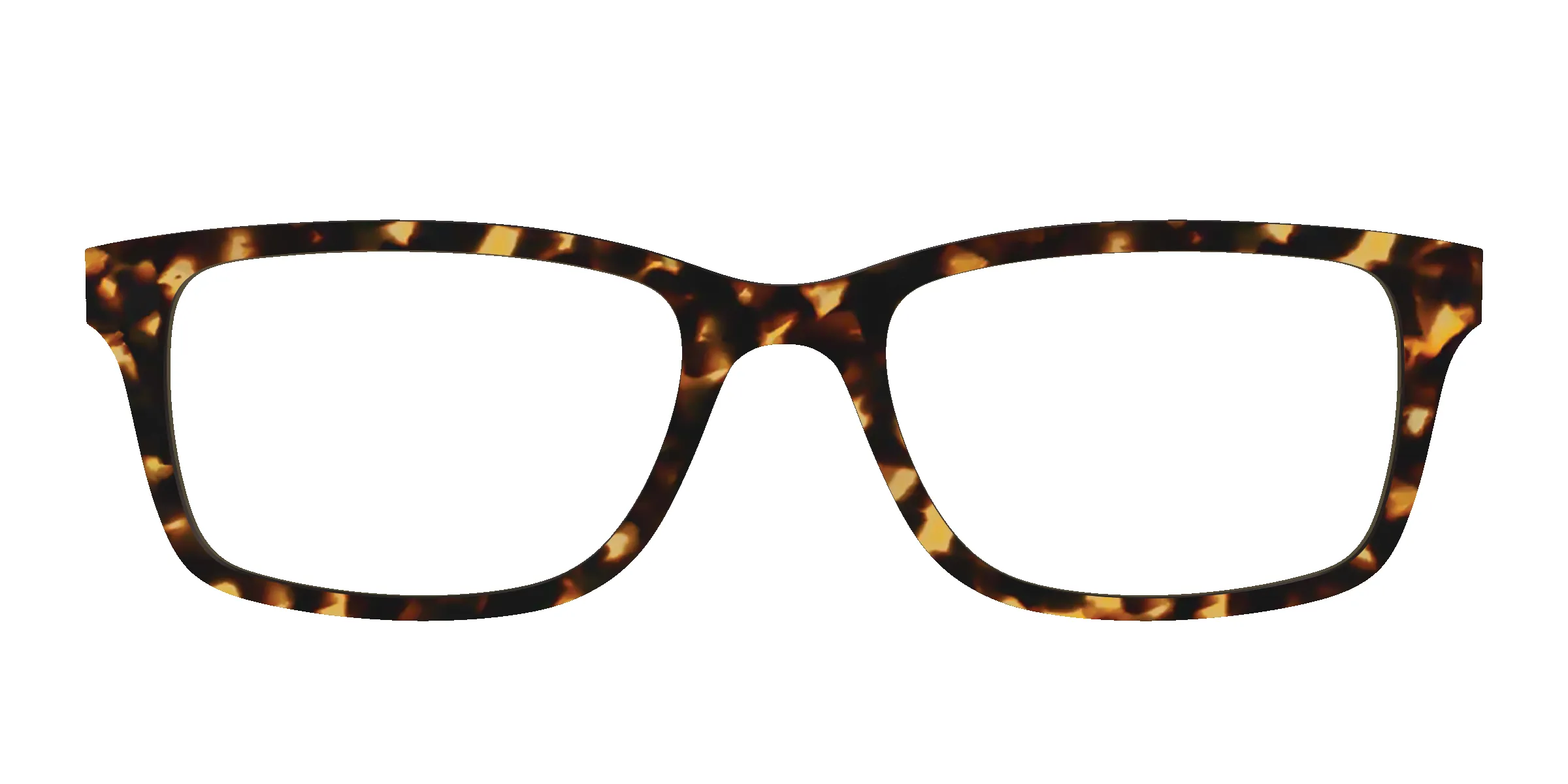 The Non-Polarized Tortoise Sun Top sold by Pair Eyewear product image thumbnail 5