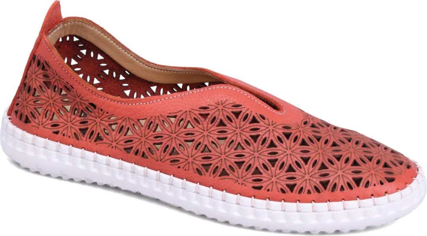Daisy Coral sold by Quarks / Urban Trail