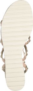 Pemolie Biscuit sold by Quarks / Urban Trail