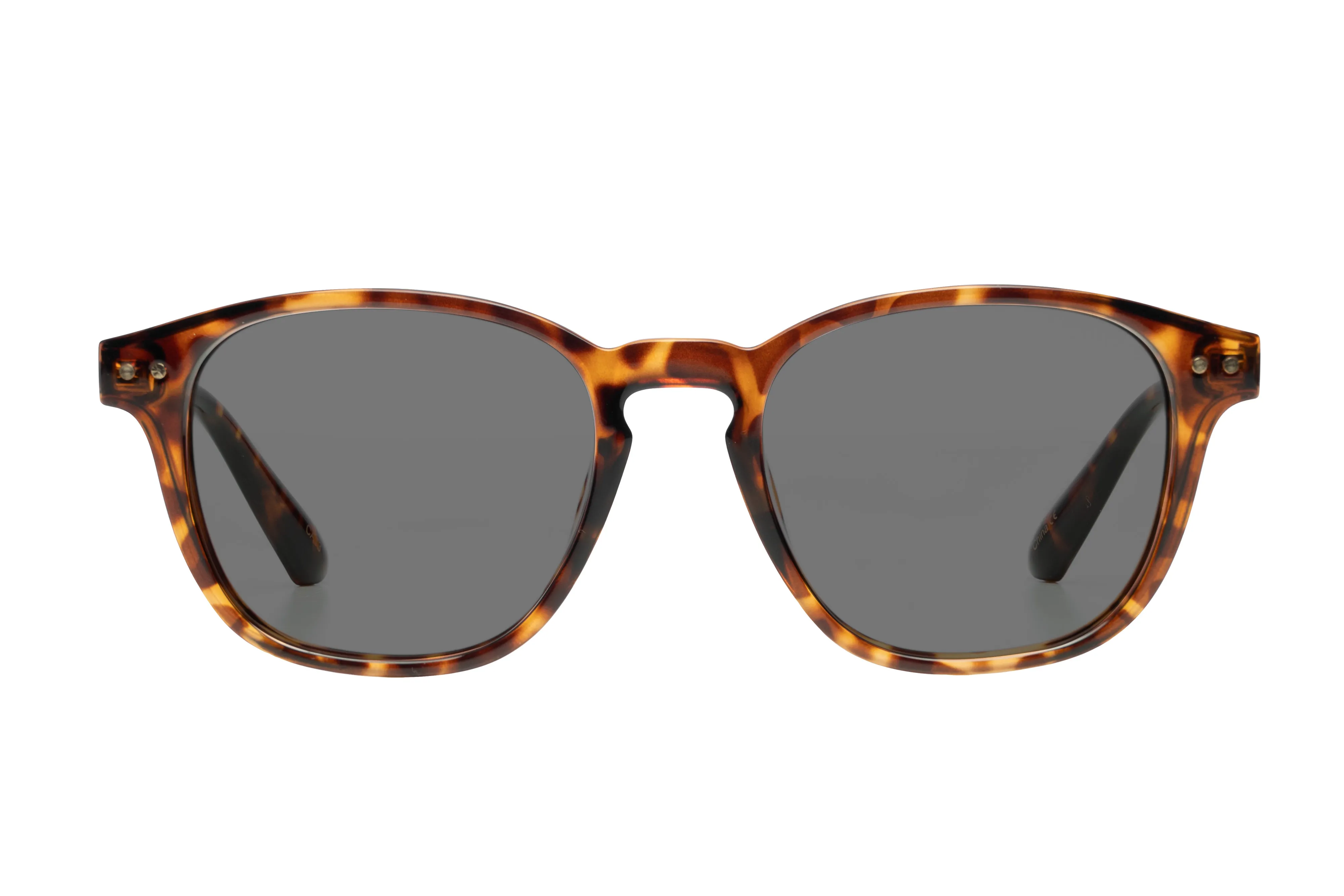 Phoenix - Polarised Demi sold by Liive Eyewear product image thumbnail 2
