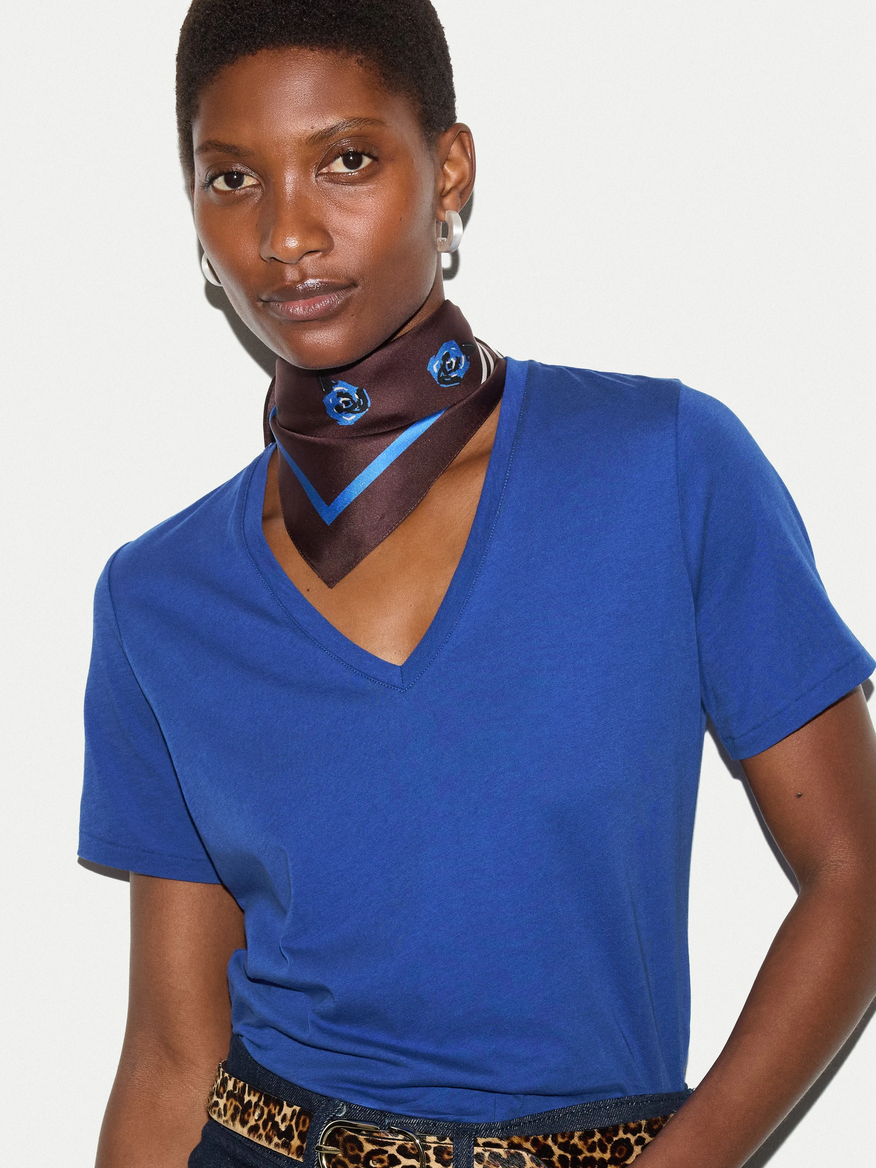Supima Cotton V Neck T-shirt | Poppy Blue sold by Jigsaw product image thumbnail 3
